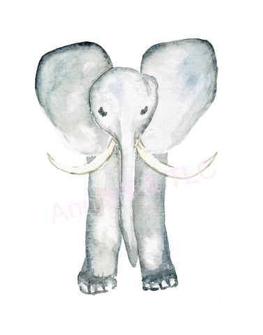 Elephant Design